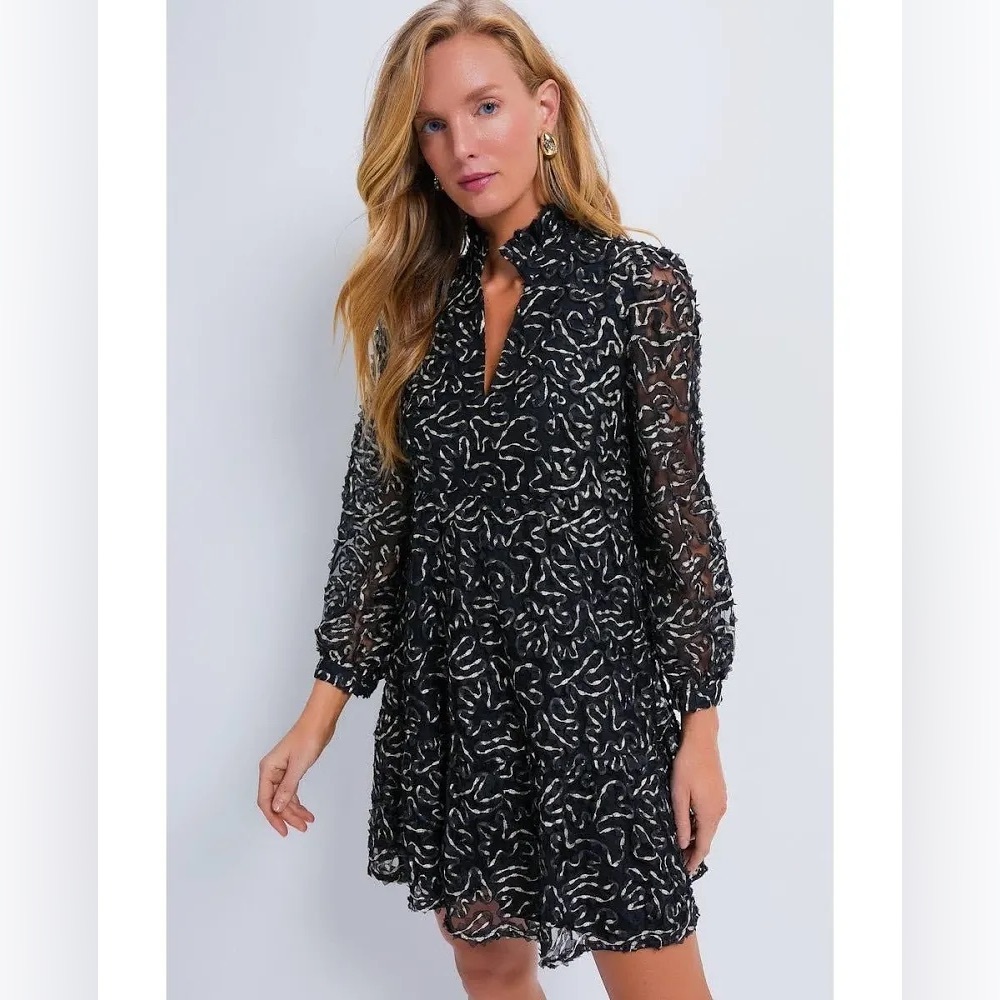 Tuckernuck Black Sheer A-Line Dress with Silver Swirl Embroidery